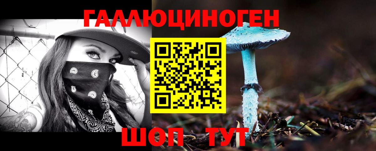 Псилоцибиновые грибы MAGIC MUSHROOMS  Вход с VPN  Гай 
