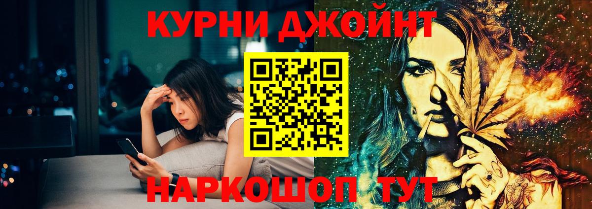 Каннабис сатива Гай